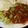 Cooksnap dari Gregorius Indro Broto untuk resep Sambel Bawang Rambut (Lokio)