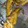 Cooksnap dari dapoer_pemula untuk resep Lele Goreng Crispy