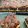 El cooksnap de María Noel Sala Cassanello cuando hizo Torta marmolada de chocolate.