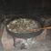 El cooksnap de Dani Bodego cuando hizo Riñoncitos al disco de arado.