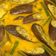 Cooksnap dari Immaculata Rosarianti Kartikadewi untuk resep Sayur Lodeh Terong Kacang Panjang
