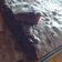 El cooksnap de Rafael Zalio cuando hizo Brownies con nesquik.