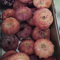 El cooksnap de Rafricana cuando hizo Magdalenas caseras esponjosas.