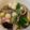 Holly Lu 的 家常鹹湯圓 cooksnap