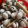 Cooksnap dari sally octavia untuk resep Kerang Dara Rebus