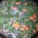 Cooksnap dari Mora untuk resep Sayur Bayam