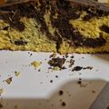 El cooksnap de Jennii Daniela cuando hizo Torta fácil con un huevo.