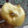 Cooksnap dari Dapur Bunda Aqilla (Masakan Sehari Hari) untuk resep Donat Montok Lembut Tanpa Proofing