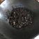Cooksnap dari meme untuk resep Oseng-oseng Cumi Hitam