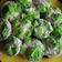 Cooksnap dari Annisa Fitri untuk resep Bolu Kukus Mekar