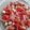 Rafandha Raiy Semrawood's cooksnap of when they made Tomato Salad.