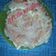 Cooksnap dari Nilla untuk resep Taiwanese Pancake Scallion (Cong You Ping) Pancake bawang