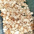 Cooksnap dari Rina Dewi Indah Sari untuk resep Popcorn Caramel