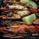 Cooksnap Ziana Chesaad semasa beliau membuat Baked Lobster Tail | Super Easy.