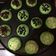 Cooksnap dari nurfitri untuk resep Kue pukis / kue pancong