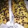 Cooksnap dari Bunda Luqman's Kitchen untuk resep Bolu Boros Pisang No Mixer