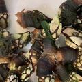 Cooksnap de Ana Clarisse quando cozinhou Percebes Cozidos.