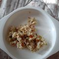 Cooksnap dari lidhya putri untuk resep MPASI 11m+ Nasi goreng