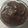 El cooksnap de Mvr cuando hizo Mousse de chocolate y aguacate.