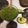 El cooksnap de jose chavez cuando hizo Salsa verde con aguacate de mi cocina💖.