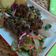 Cooksnap dari Dapoer-94 untuk resep Cordero asado a las finas hierbas/Baked lamb in spices