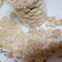 Cooksnap dari Lela Maila untuk resep Kue Sagu Keju