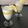 il Sara Capirola quando ha preparato Mousse al limone