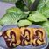Cooksnap dari Ratu untuk resep Bolu Jadul, marble cake lembut