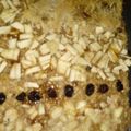 El cooksnap de Sabrina Flores cuando hizo Masitas de pasas, nueces y manzana!!! para compartir.
