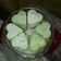 Cooksnap dari Mina (Agnas shop) untuk resep Putri salju pandan