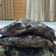 Cooksnap dari missnowind untuk resep Pancake pisang