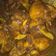 Cooksnap dari Aprilia Cie untuk resep Ayam Kecap
