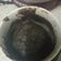 El cooksnap de Dragodo cuando hizo Brownie en taza para microondas.