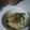 Cooksnap dari Sri Haryati Hafid untuk resep Mie Ayam Kampung ala abang-abang