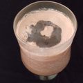  Darshna Rajpara 's cooksnap of when they made ચોકલેટ મિલ્ક શેક (Chocolate Milk shake Recipe in Gujarati).