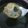 Fatima Rais's cooksnap of when they made Gol Gappay.