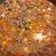 El cooksnap de Gisela Alvarez cuando hizo Picadillo de carne molida casero.