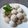 Cooksnap dari ihdanas untuk resep Mochi Doughnuts