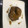 El cooksnap de Pedro Agraz Gutierrez cuando hizo Solomillo de cerdo al Pedro Ximénez.