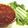 Cooksnap dari AM Kitchen untuk resep Sambal Bajak Rasa Mantap