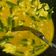Cooksnap dari Maylana Miranda untuk resep Sayur santan kacang panjang dan kol