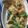 Pinal Patel's cooksnap of when they made સ્ટીમ ઢોકળા (Steam Dhokla Recipe In Gujarati).