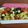 Kristina K's cooksnap of when they made Greek Pasta Salad.
