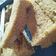 Cooksnap dari Nazilatul Nafiah untuk resep Fluffy banana cake, bolu pisang 1 telur no mixer no timbang