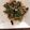 El cooksnap de Romi cuando hizo Salteado de verduras con Pollo 100% Keto.