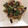 El cooksnap de Romi cuando hizo Salteado de verduras con Pollo 100% Keto.