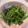 茶米林 的 清炒地瓜葉 cooksnap