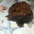 Cooksnap dari Zulfa Aulia Dina untuk resep Bolu ketan hitam