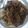 Cooksnap dari sarah_nugraha untuk resep Beef Teriyaki