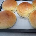 Cooksnap dari Sito untuk resep Burger Bun 🍔 / Hotdog Bun montok 😅